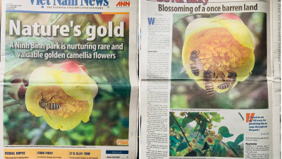 Hoa nở nơi vùng đất cằn cỗi (Vietnamnews.vn)