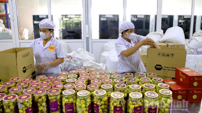 Tìm đầu ra cho sản phẩm OCOP trên nền tảng số