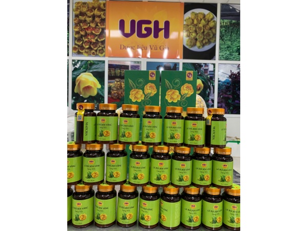 Matcha lá trà hoa vàng Cúc phương (bột mịn) 40gr