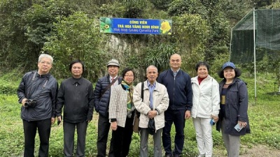 Đoàn hội nhà báo Việt Nam đến thăm và tìm hiểu công tác bảo tồn trà hoa vàng quý hiếm của Việt Nam 