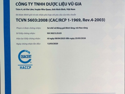 Trà hoa vàng Mạn Hảo (bánh ép năm 2024)