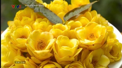 Chuyển đổi số góp phần quảng bá, tiêu thụ sản phẩm OCOP Ninh Bình