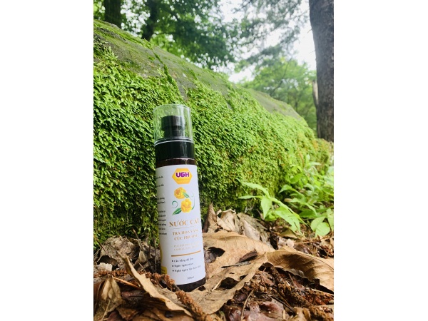 Nước cất Trà hoa vàng Cúc phương 100ml
