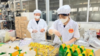 Trà hoa vàng Vũ Gia – Đánh thức giá trị vàng từ núi rừng Cổ Ngựa