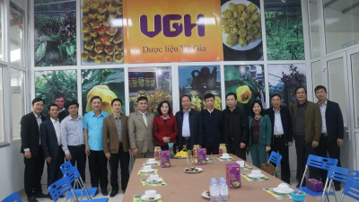 Đ/c Nguyễn Thị Thanh - Bí thư tỉnh ủy tỉnh Ninh Bình  thăm và làm việc Công ty TNHH dược liệu Vũ Gia