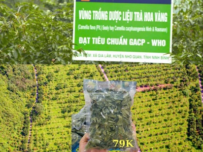 Trà hoa vàng Cúc phương (dạng lá 100gr)