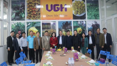 Đ/c Nguyễn Thị Thanh - Bí thư tỉnh ủy tỉnh Ninh Bình  thăm mô hình bảo tồn và phát triển trà hoa vàng tại Công ty