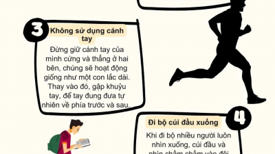 Nghiên cứu mới phát hiện thêm lợi ích ấn tượng của việc đi bộ