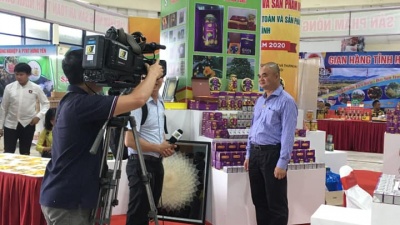 VGH ra mắt sản phẩm Cao bột Đinh Lăng